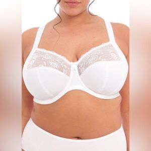 ✨ NWT Elomi Morgan Underwire Banded Bra — White Lace US 38M | UK 38J
